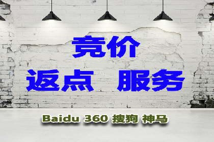 竞价推广实战：经典案例深度解析